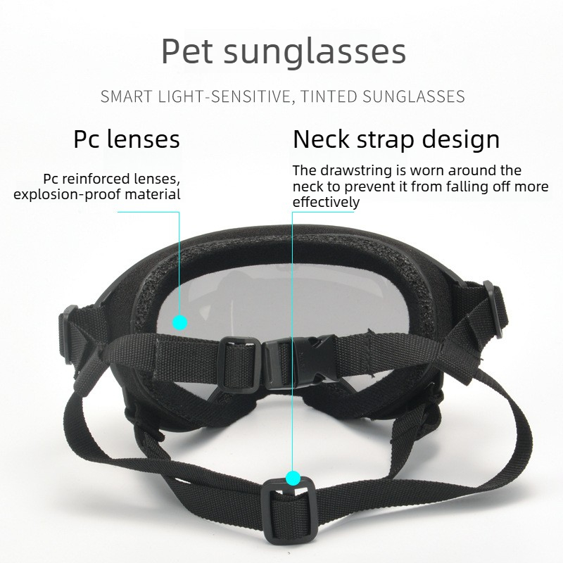 Haustier-Schutzbrille, Wind-,  – Travel Accessories Gift Ideas Bewertung und Preis